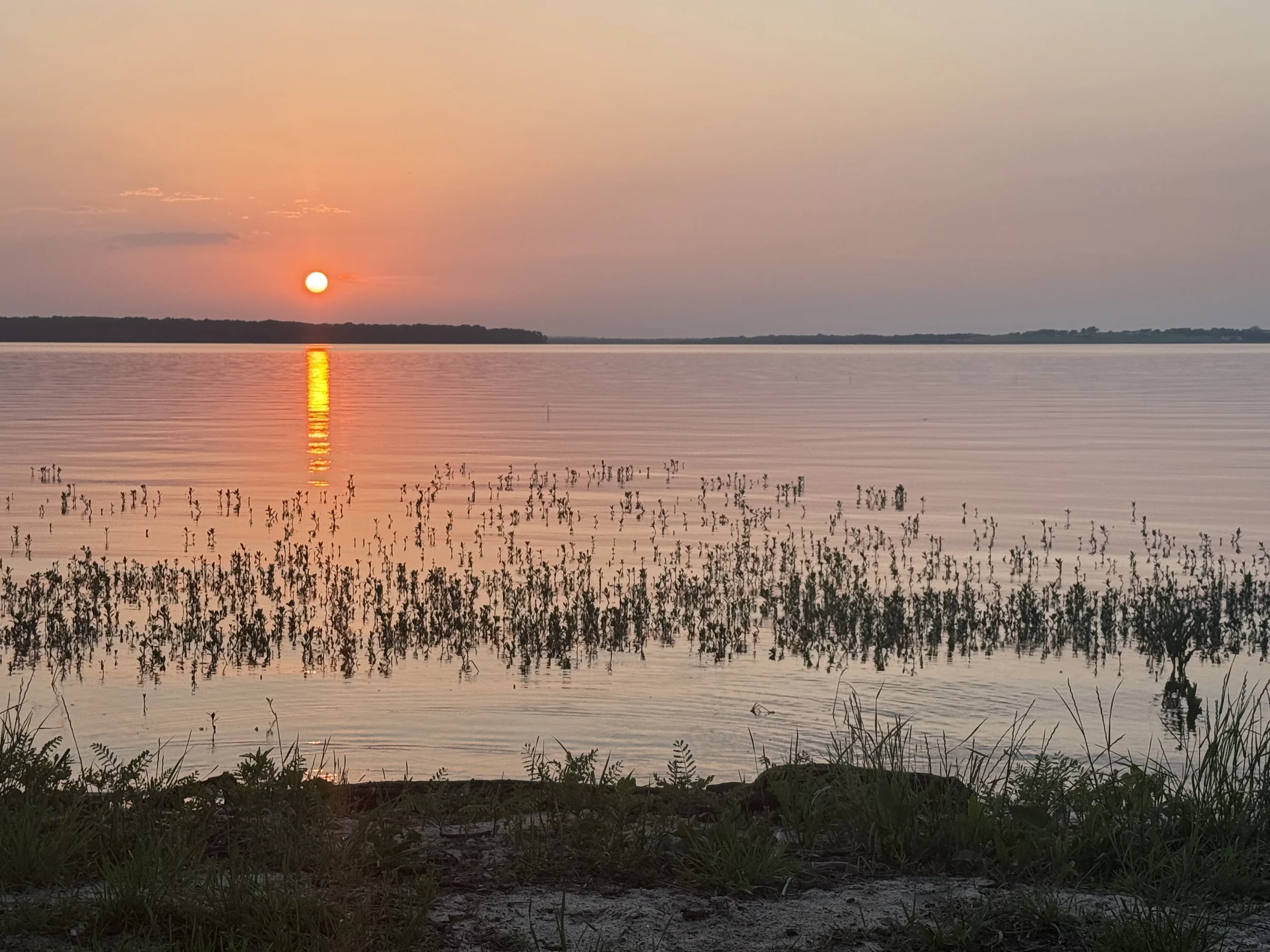 Warm sun reflecting across calm Cedar Creek Lake water