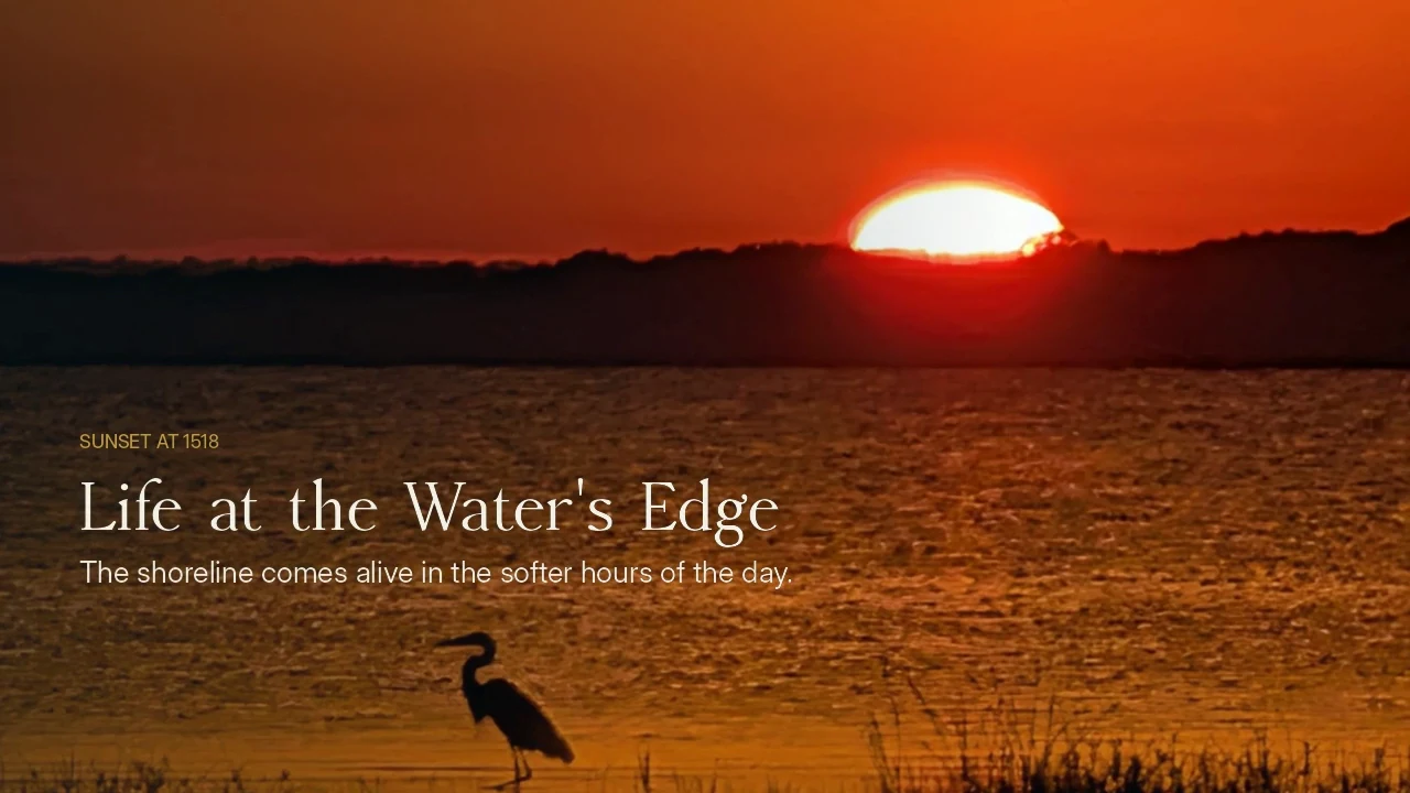 Life at the Water's Edge film poster